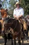 carousel chooser